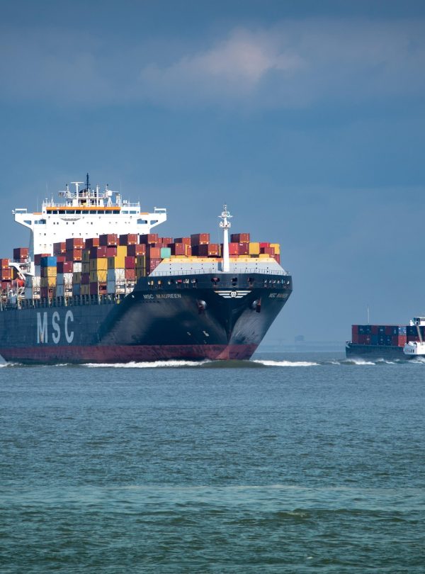 dendoktoor-ship-7210282_1920